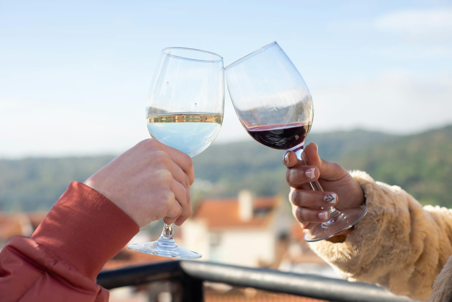 Wine tasting experience with Portuguese wines near Lisbon
