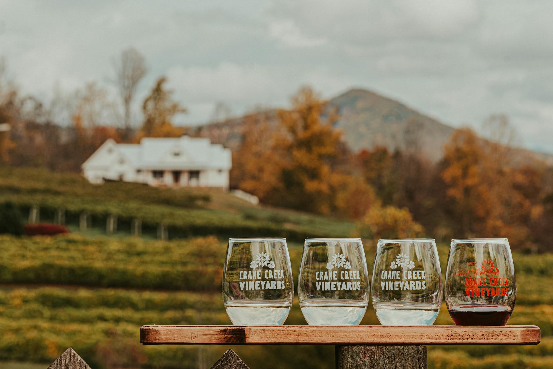 Wine tasting flight with three glasses of Portuguese red and white wine on a vineyard tour
