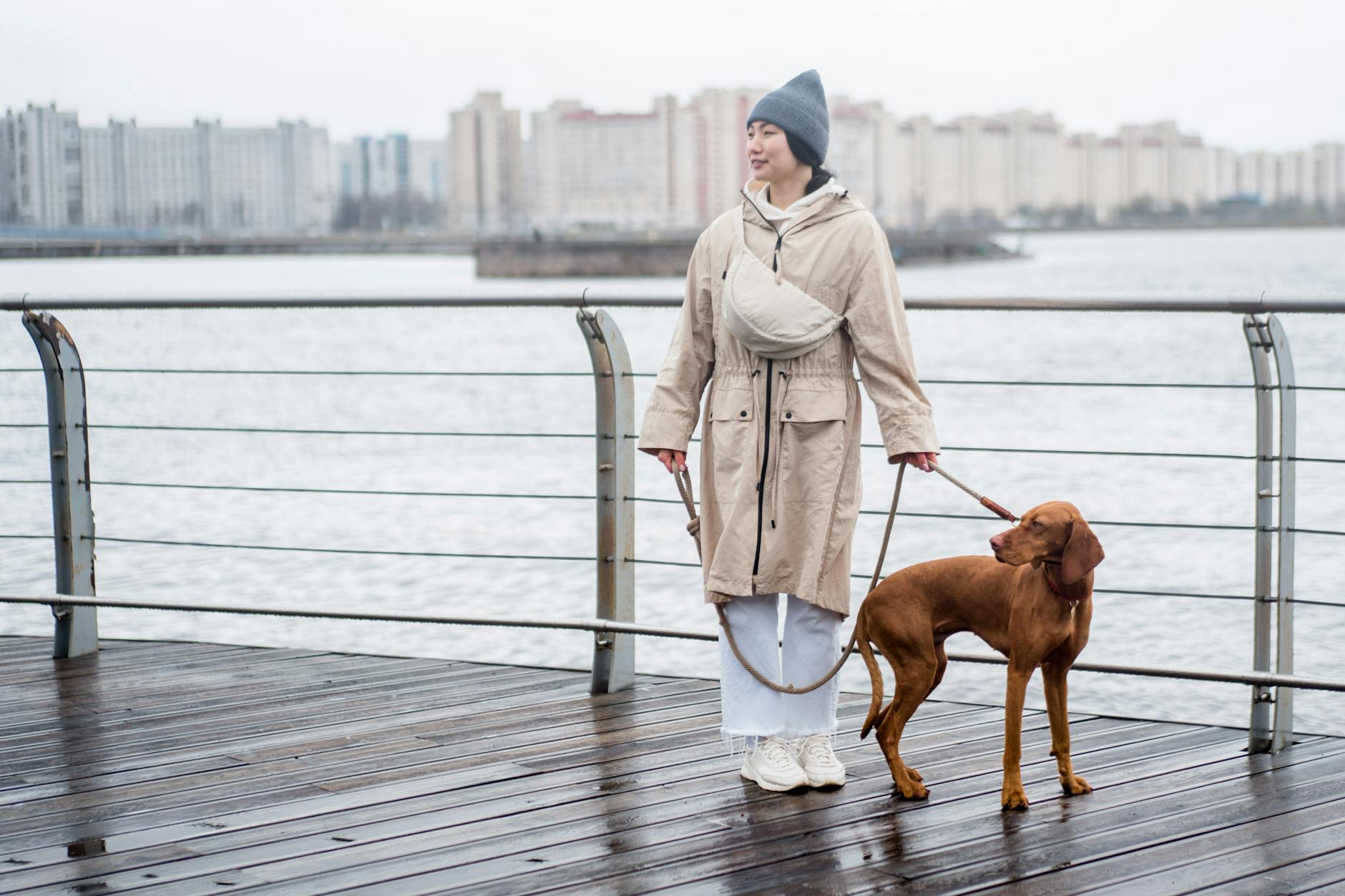 Dog walking with owner along a Lisbon waterfront with the Tagus River in background