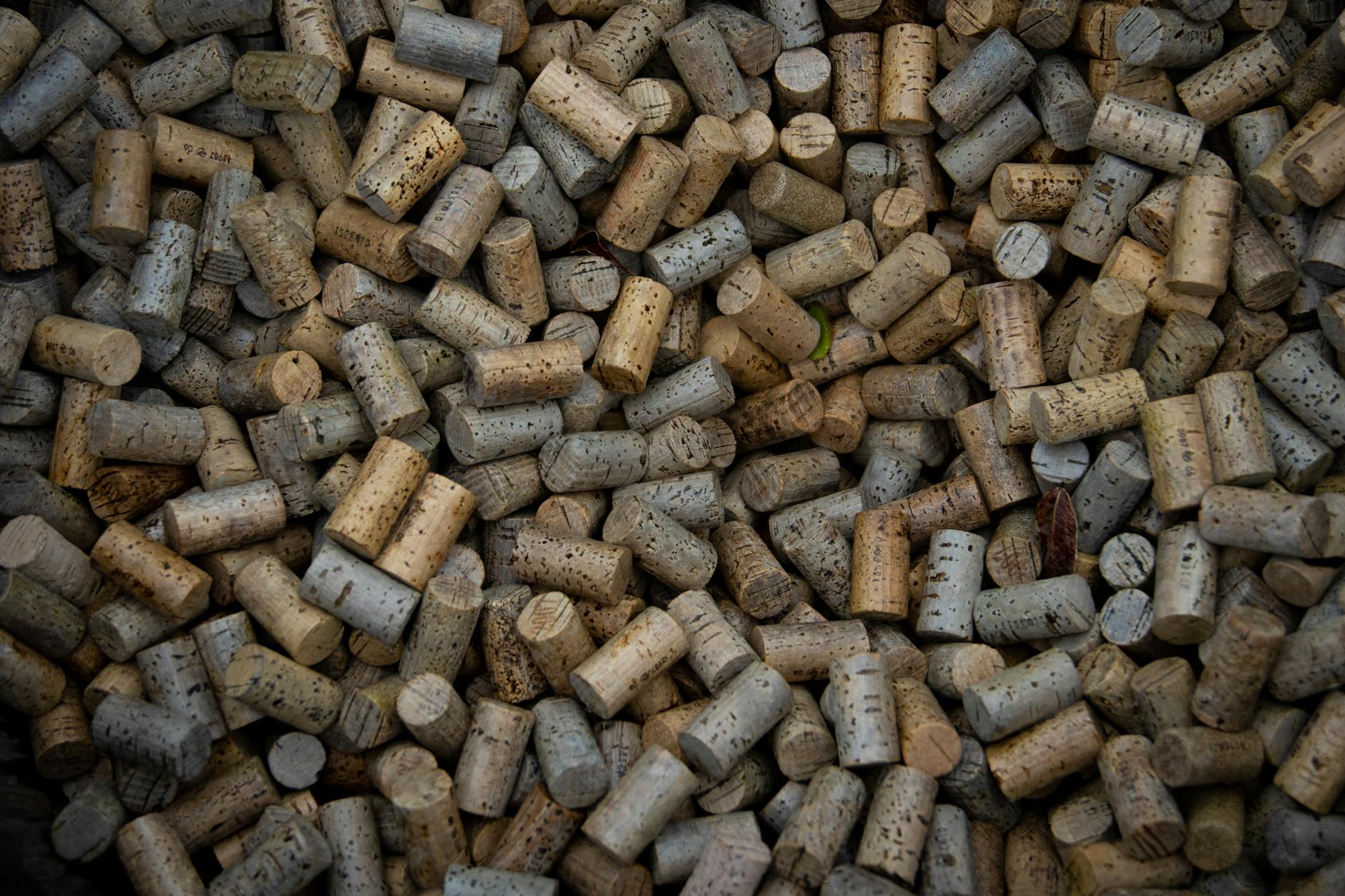 Cork oak bark texture from Alentejo Portugal the source of Portuguese cork products