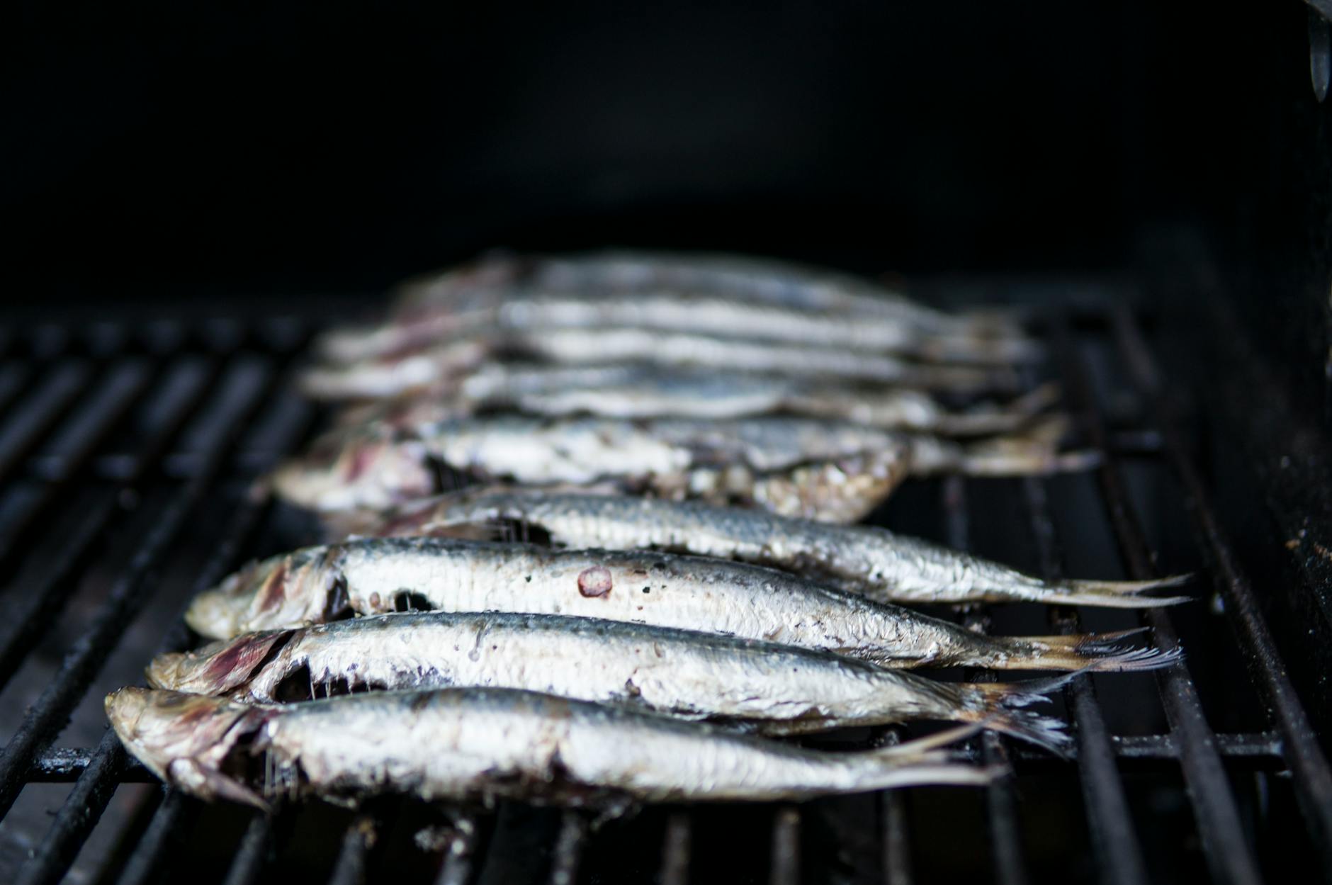 Grilled sardines on charcoal grill Portugal summer festival