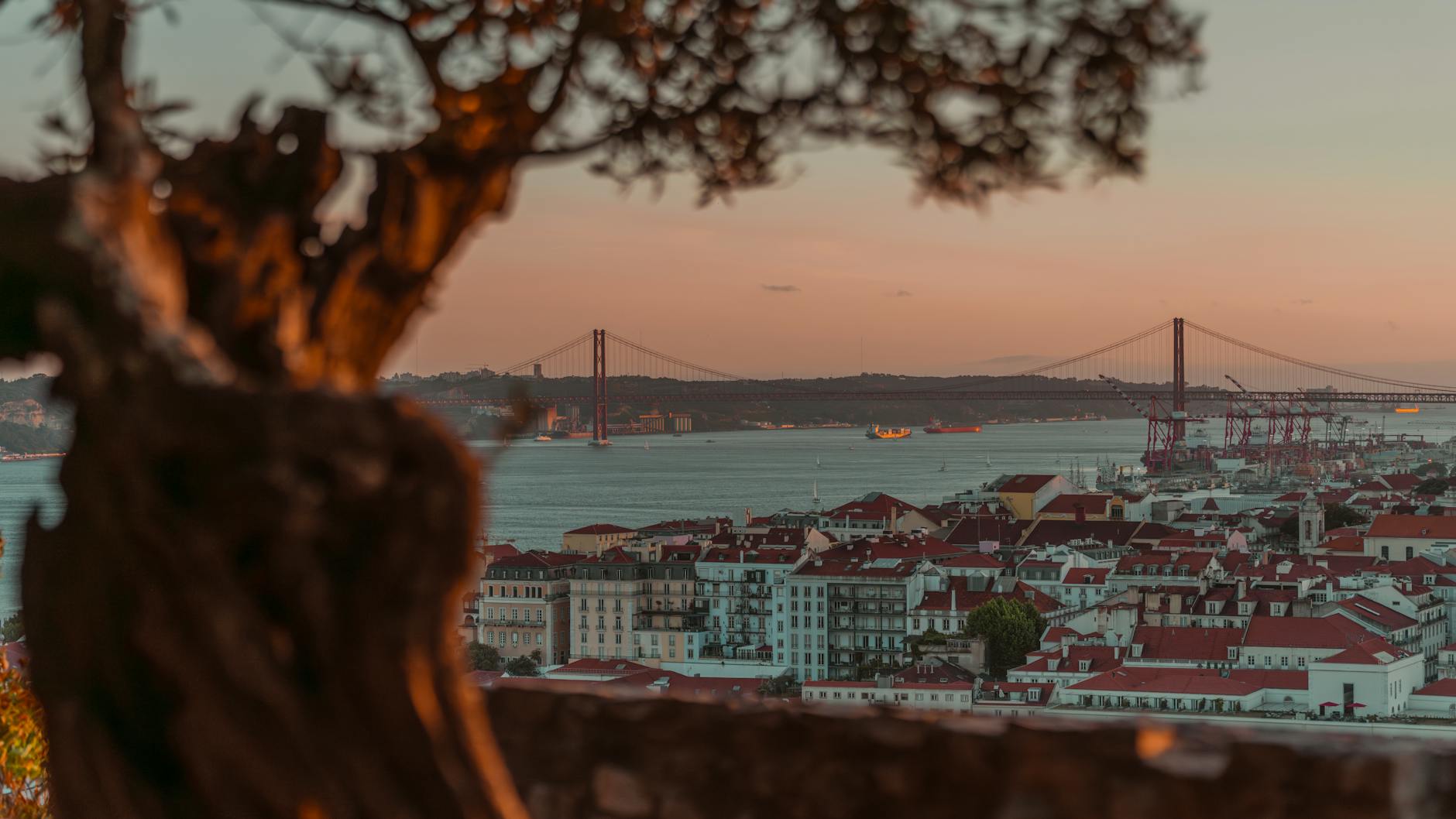 Lisbon sunset over 25 de Abril Bridge framed by trees golden hour