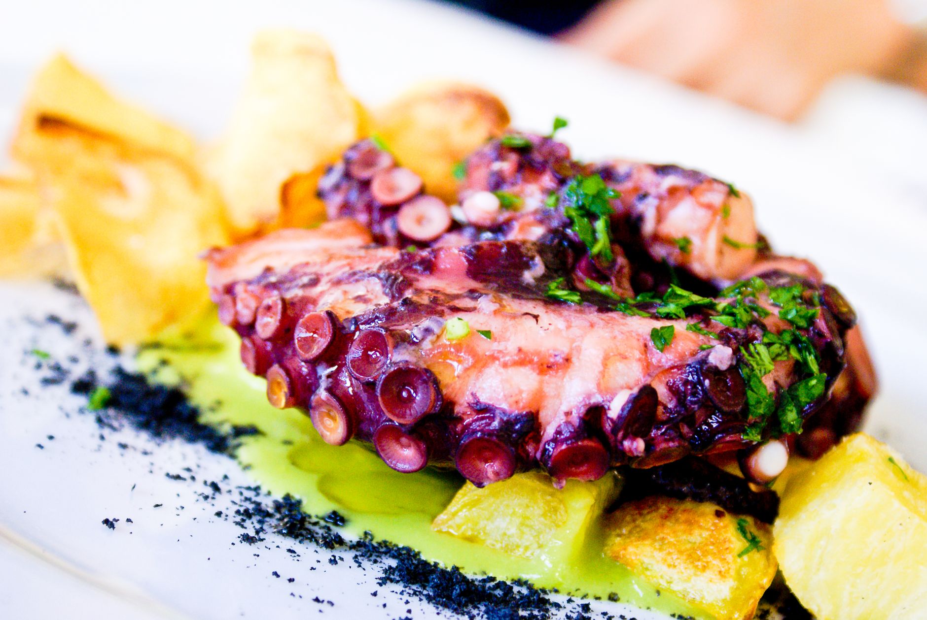 Grilled octopus with potatoes polvo a lagareiro Lisbon restaurant