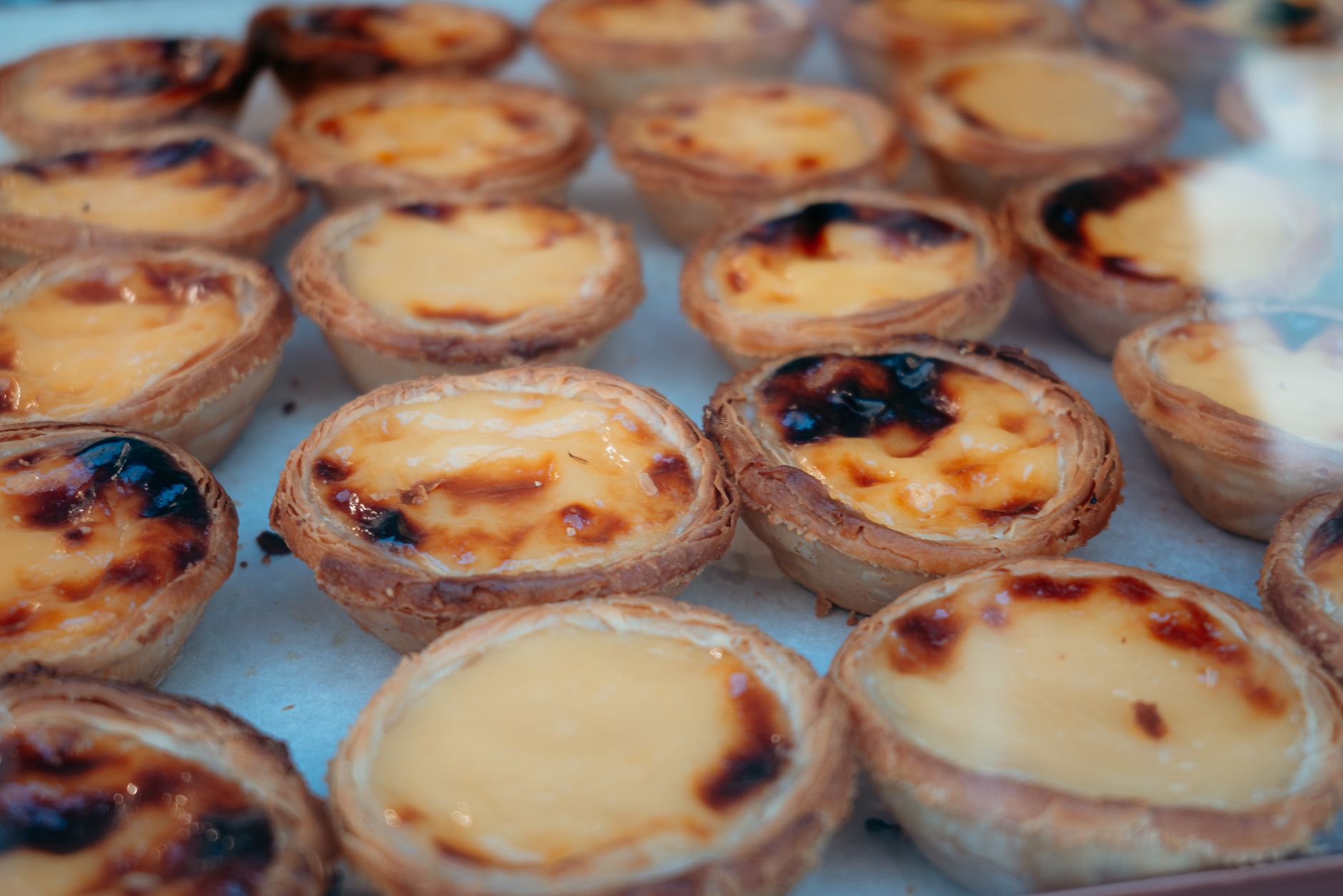Close-up of freshly baked Portuguese custard tarts pastel de nata