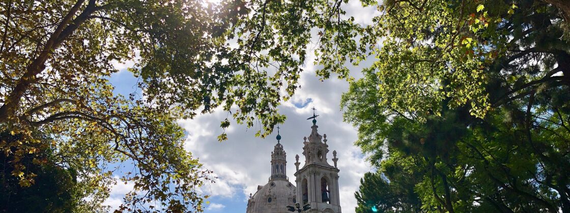 The dome and bell tower of the Basílica da Estrela seen through the trees of the Jardim da Estrela in Lisbon