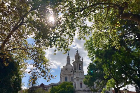 The dome and bell tower of the Basílica da Estrela seen through the trees of the Jardim da Estrela in Lisbon