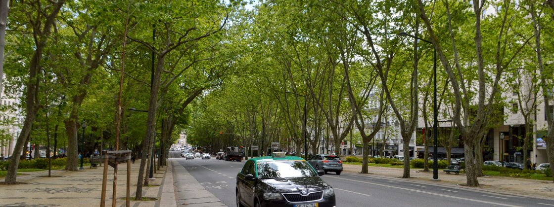 A black and green taxi travels along Lisbon's Avenida da Liberdade beneath leafy trees beside broad patterned stone promenades.
