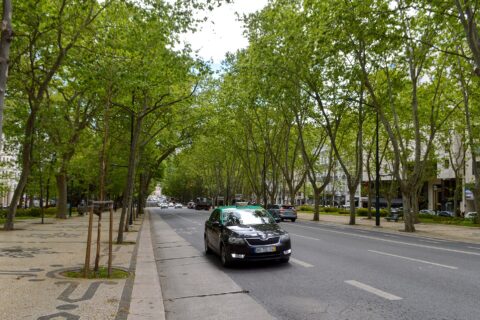 A black and green taxi travels along Lisbon's Avenida da Liberdade beneath leafy trees beside broad patterned stone promenades.