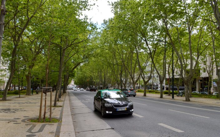 A black and green taxi travels along Lisbon's Avenida da Liberdade beneath leafy trees beside broad patterned stone promenades.