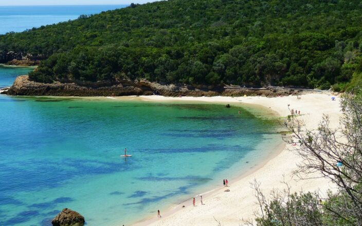 A paddleboarder crosses turquoise water beside a white sandy cove backed by wooded slopes in Arrábida Natural Park.